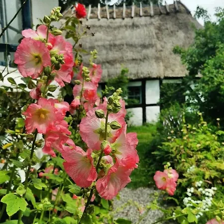 Bed & Breakfast Plantepressen